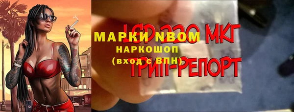 гидра Новозыбков