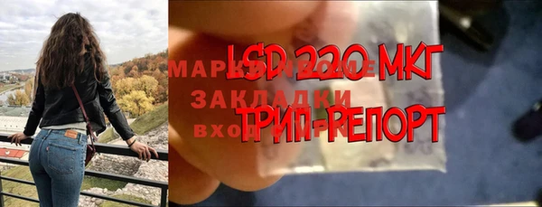 дмт Новодвинск