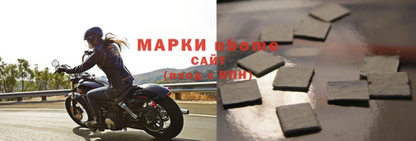 гидра Новозыбков