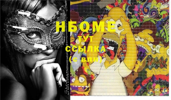 дмт Новодвинск