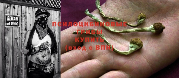 гидра Новозыбков