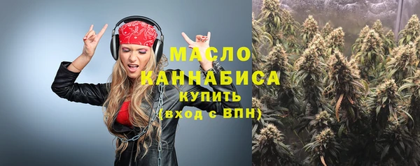 дмт Новодвинск