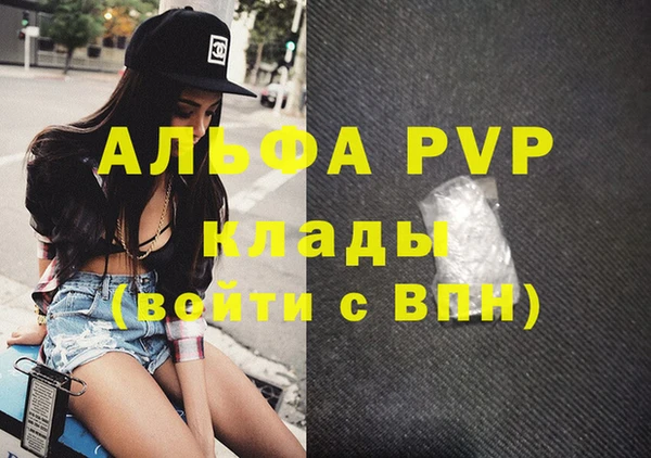 гидра Новозыбков