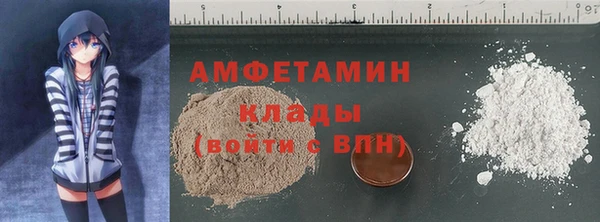 гидра Новозыбков