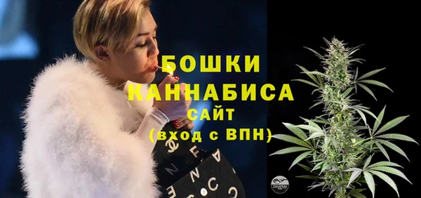 гидра Новозыбков