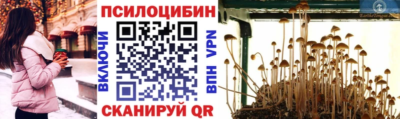 Псилоцибиновые грибы прущие грибы даркнет сайт Усть-Кут