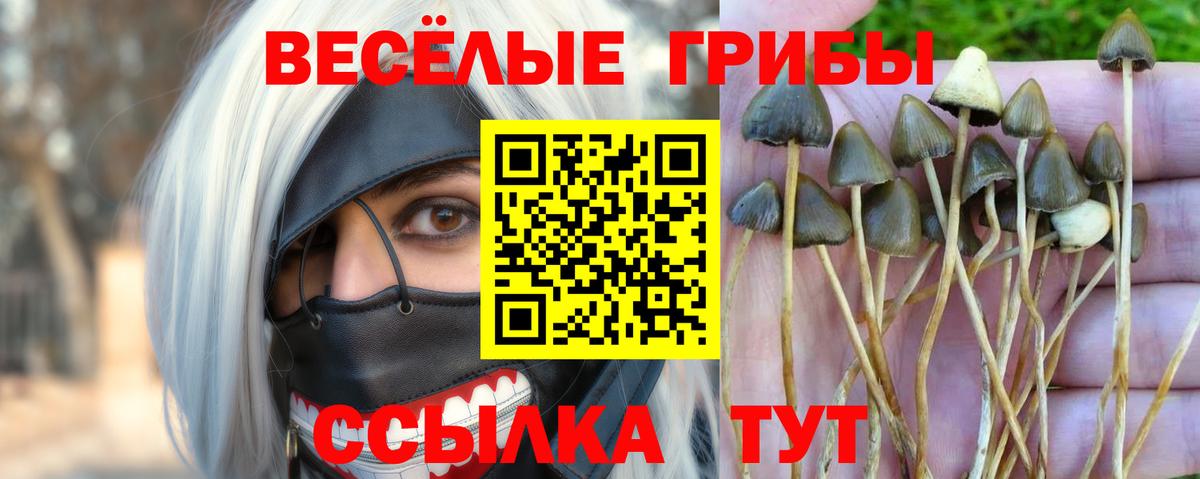 Псилоцибиновые грибы Magic Shrooms  где купить наркоту  Усть-Кут  Вход с VPN 