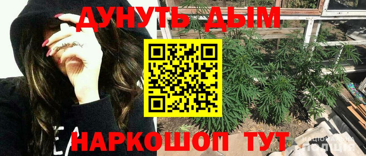 Шишки марихуана план Усть-Кут